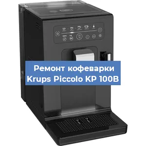 Чистка кофемашины Krups Piccolo KP 100B от кофейных масел в Волгограде